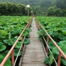 차령고개로 이미지