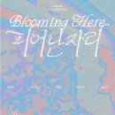문화기획 - 금천구 독산로51길 20 | 은대리 문화벽돌공 기획전시 '피어난 자리' 관람 후기