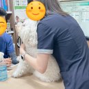 (주)퍼니펫 이미지