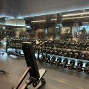 헬슐랭 피트니스 | 부산 해운대 헬스장 베스트 피트니스 해운대점 :: 다시 운동 시작 추천해요, 장산 헬스장, 헬슐랭