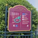 클로버 환경 | 노보텔 상하이 클로버(Novotel Shanghai Clover) 후기