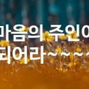 도동유통 이미지