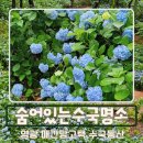 연안차씨 집안문서 | 영광수국동산 조선후기건축의백미 매간당고택