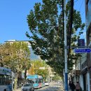 만두한개 커피한잔 이미지