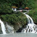 수이목장 이미지