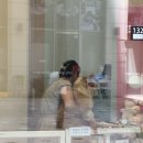 별따줄개 이미지