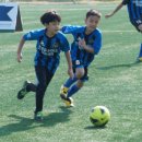 스포츠타운 인조잔디구장 이미지