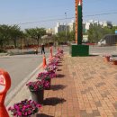 보궁요양병원 이미지