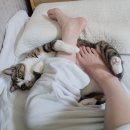 미니스톱 인천샛별점 | 네? 취준이요? 안 하는데요?