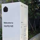 집투어 | 안국 핫플 오늘의집 오프라인 매장 '오늘의집 홈 안국' 투어 후기: 덕후의 성지 투어와 광각 사진 촬영...