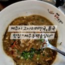 제주동백을담다 이미지