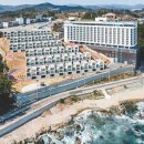 파나크 오퍼레이티드 바이 소노 이미지