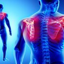 죽전 다짐휘트니스 이미지