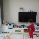 선우리싸이클링 Daum카페