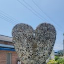 [찬샘통문 92]아름다운 사람(57)-돌을 주무럭거리는 인간 이미지