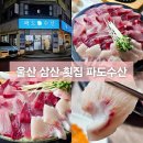 파도횟집 | 울산 삼산 횟집 파도수산 겨울 제철 음식 대방어 후기