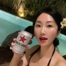 미례속눈썹