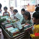 월영초등학교 이미지