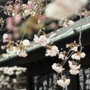 20일 완성 新JLPT 상상 N3(문자어휘) | n3인강 들으며 준비해요 일본어 JLPT 시험 독학으로 합격!