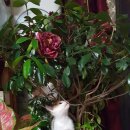 최수지미용실 이미지