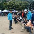 경주버섯 이미지