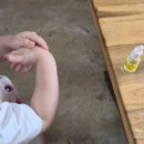 [거제] 거제 동백오일갤러리 아이와 함께 다녀온 후기｜고로케 맛집, 동백오일