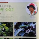 다래가든