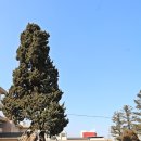 곤지암옛날국밥 네이버블로그