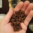 커피리뷰-내추럴 커피원두에 대한 기본적인 이해/과테말라 블루 아야르자 내추럴 이미지