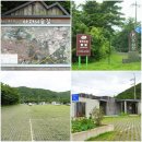 (주)사려니 | 제주 아이와 가볼만한곳 사려니숲길 주차, 소요시간