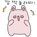더펄스널컬러 네이버블로그
