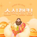 스터디코치영어전문학원