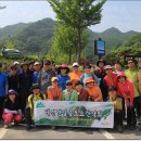 소백산 티스토리