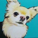 다은동물병원 이미지