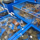 폭풍수산 이미지