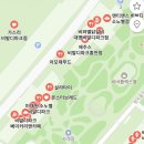 [내돈내산] 홍천 오션월드 | 소노펠리체 | 사당 셔틀버스 | 얼리체크인 | 비바플렉스몰