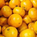 다현농장 이미지