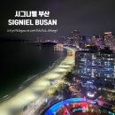 살롱드뷰(Salon de view) | 🌊 SIGNIEL BUSAN 시그니엘 부산 해운대 바라보며 호캉스 즐기기(조식, 라운지, 야외수영장 등)