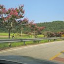 백암기사식당 이미지