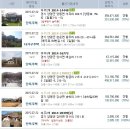 정경자미술전시관 Daum카페