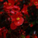 마실휴양농원 이미지