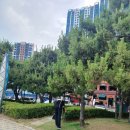 서구 자원봉사센터(6) 이미지