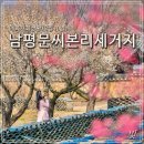 남평문씨본리세거지 주차장 안 네이버블로그
