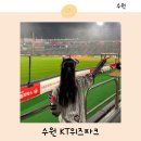 3루지정석 | 수원 KT위즈파크 먹거리 추천 3루 응원지정석 시야 후기