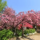 완산-4 이미지