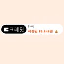테무 파트너 제휴 프로그램 집에서 하는 재택 근무 직업 직장인 부업