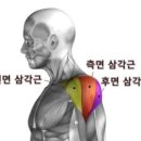 유디티짐 이미지