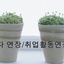상록 행정사사무소 이미지