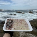 강릉시수산업협동조합 수산물직매장 | 강릉 여행 주문진 횟집 추천 주문진항 수산물 좌판...고등어 밀복 도다리 도합 5만원 내돈내산 솔직후기