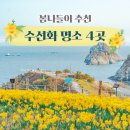 봄나들이 이미지